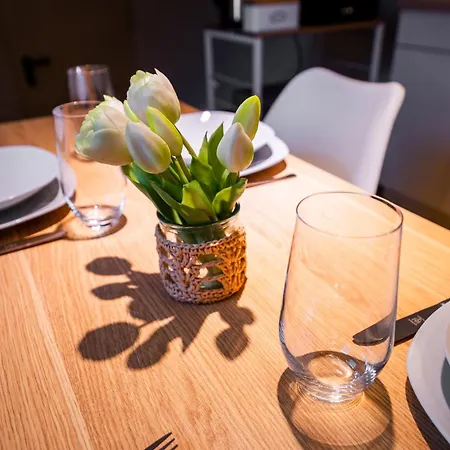 Moderne Stadtwohnung An Der Fussgaengerzone, Smart Tv, Kingsize-bett, Couch, Kueche Apartment Passau