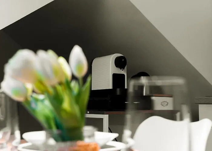 Moderne Stadtwohnung An Der Fussgaengerzone, Smart Tv, Kingsize-bett, Couch, Kueche Апартаменти *