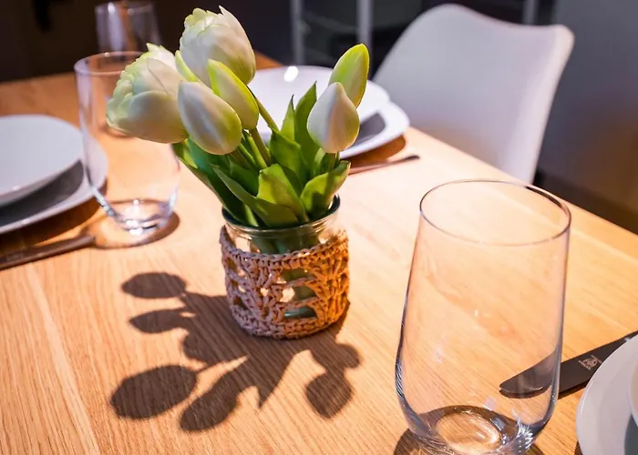 Moderne Stadtwohnung An Der Fussgaengerzone, Smart Tv, Kingsize-bett, Couch, Kueche Apartment Passau